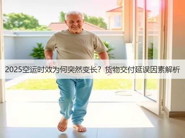 2025空运时效为何突然变长?货物交付延误因素解析(图3) 2025空运时效为何突然变长?货物交付延误因素解析(图3)