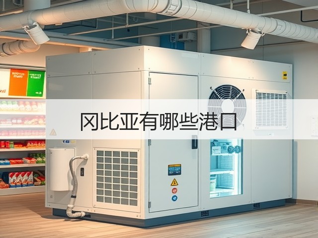 冈比亚有哪些港口(图3)