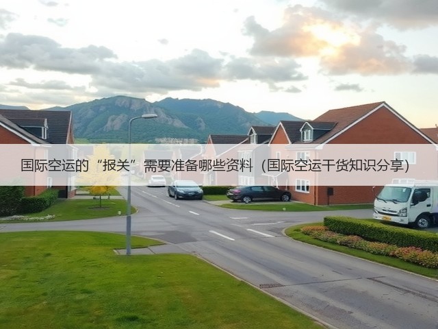 国际空运的“报关”需要准备哪些资料(国际空运干货知识分享)(图3) 国际空运的“报关”需要准备哪些资料(国际空运干货知识分享)(图3)