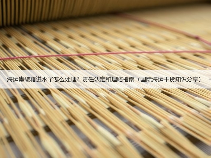 海运集装箱进水了怎么处理？责任认定和理赔指南（国际海运干货知识分享）