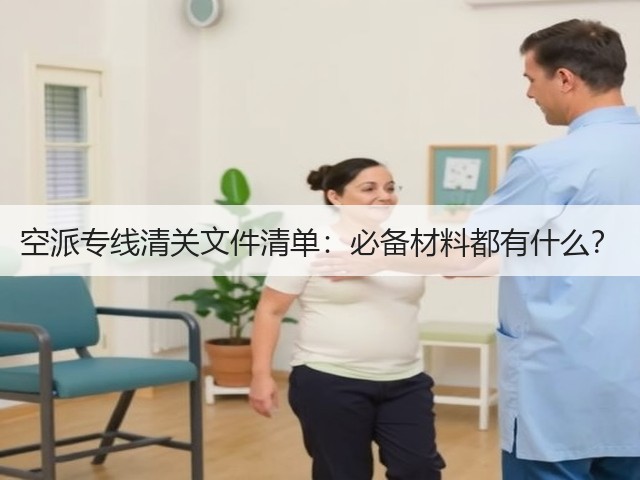 空派专线清关文件清单:必备材料都有什么?(图1) 空派专线清关文件清单:必备材料都有什么?(图1)