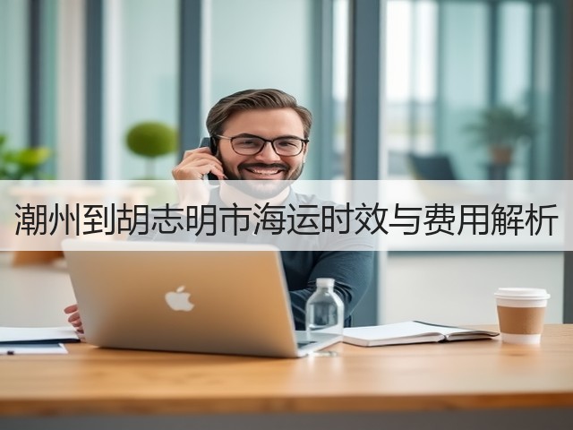 潮州到胡志明市海运时效与费用解析(图3) 潮州到胡志明市海运时效与费用解析(图3)
