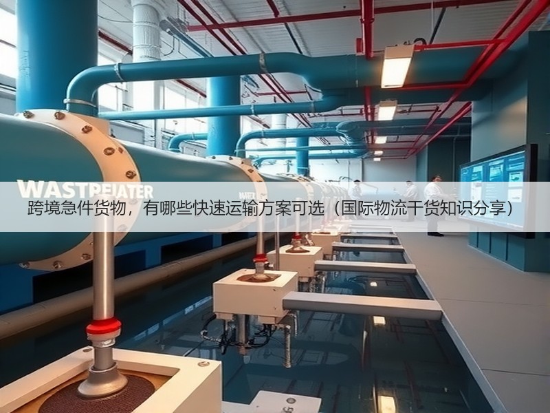 跨境急件货物，有哪些快速运输方案可选（国际物流干货知识分享）