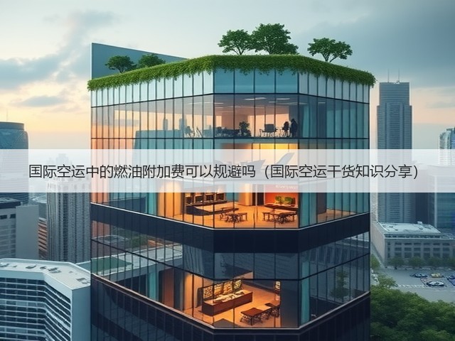 国际空运中的燃油附加费可以规避吗(国际空运干货知识分享)(图3) 国际空运中的燃油附加费可以规避吗(国际空运干货知识分享)(图3)