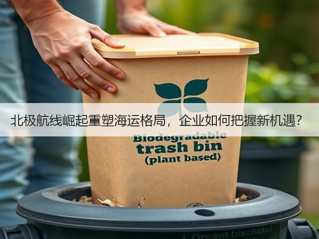 北极航线崛起重塑海运格局，企业如何把握新机遇？(图3)