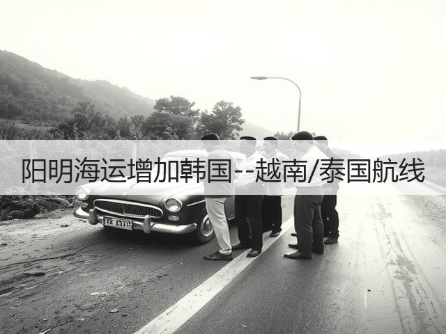 阳明海运增加韩国--越南/泰国航线(图3)