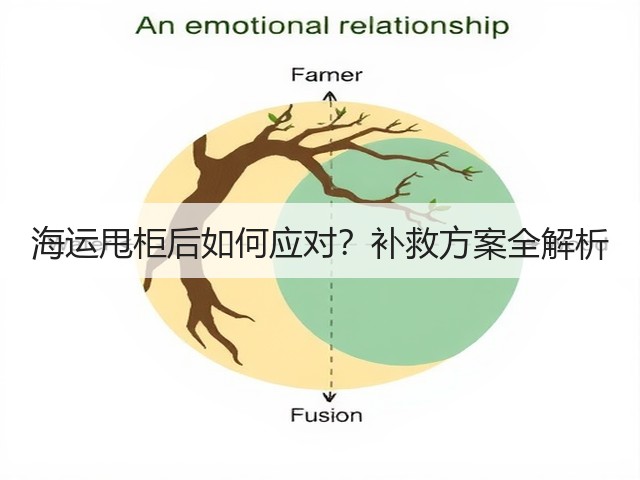 海运甩柜后如何应对?补救方案全解析(图3) 海运甩柜后如何应对?补救方案全解析(图3)