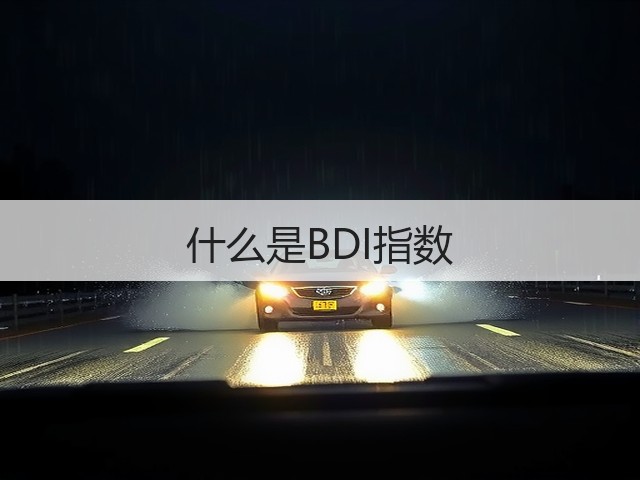 什么是BDI指数(图1) 什么是BDI指数(图1)