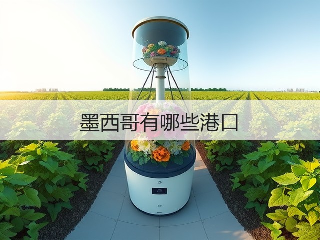 墨西哥有哪些港口(图1) 墨西哥有哪些港口(图1)