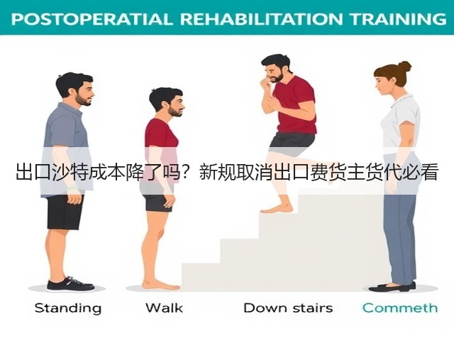 出口沙特成本降了吗?新规取消出口费货主货代必看(图3) 出口沙特成本降了吗?新规取消出口费货主货代必看(图3)