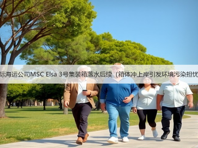 国际海运公司MSC Elsa 3号集装箱落水后续(箱体冲上岸引发环境污染担忧)(图3) 国际海运公司MSC Elsa 3号集装箱落水后续(箱体冲上岸引发环境污染担忧)(图3)