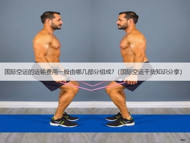 国际空运的运输费用一般由哪几部分组成?(国际空运干货知识分享)(图3) 国际空运的运输费用一般由哪几部分组成?(国际空运干货知识分享)(图3)