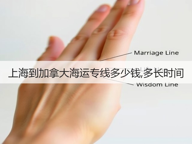上海到加拿大海运专线多少钱,多长时间(图1) 上海到加拿大海运专线多少钱,多长时间(图1)