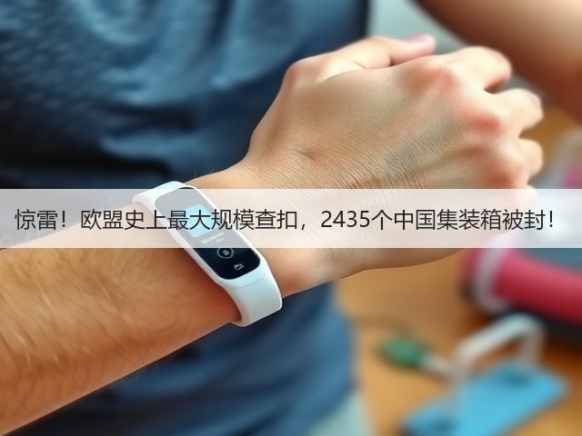 惊雷!欧盟史上最大规模查扣,2435个中国集装箱被封!(图2) 惊雷!欧盟史上最大规模查扣,2435个中国集装箱被封!(图2)