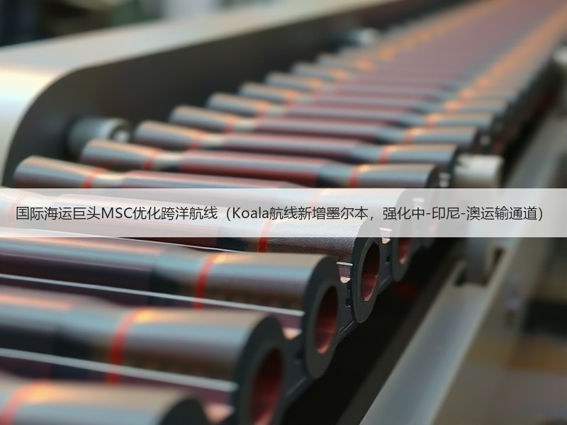 国际海运巨头MSC优化跨洋航线(Koala航线新增墨尔本,强化中-印尼-澳运输通道) 国际海运巨头MSC优化跨洋航线(Koala航线新增墨尔本,强化中-印尼-澳运输通道)