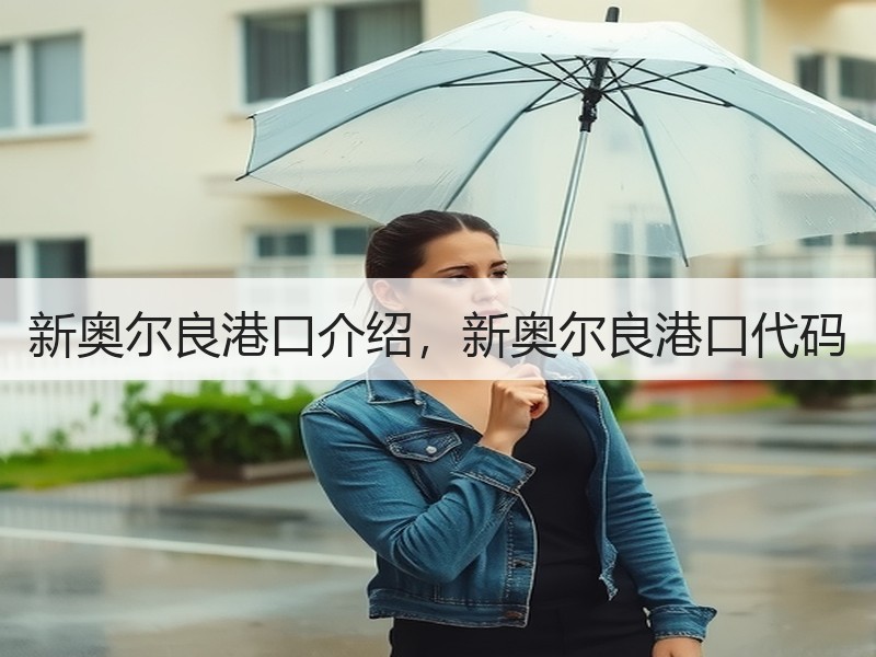 新奥尔良港口介绍,新奥尔良港口代码 新奥尔良港口介绍,新奥尔良港口代码