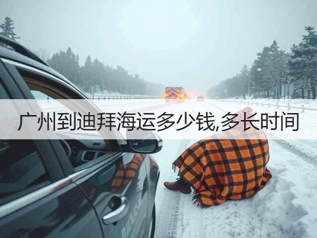 广州到迪拜海运多少钱,多长时间(图1) 广州到迪拜海运多少钱,多长时间(图1)