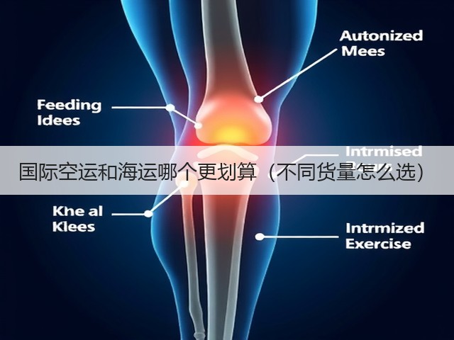 国际空运和海运哪个更划算(不同货量怎么选)(图3) 国际空运和海运哪个更划算(不同货量怎么选)(图3)