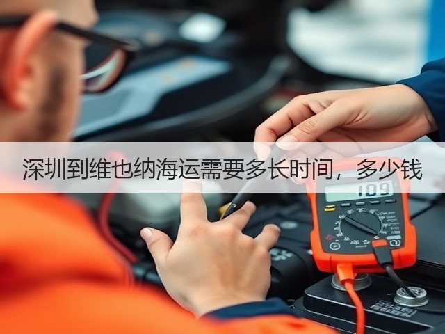 深圳到维也纳海运需要多长时间，多少钱(图1)