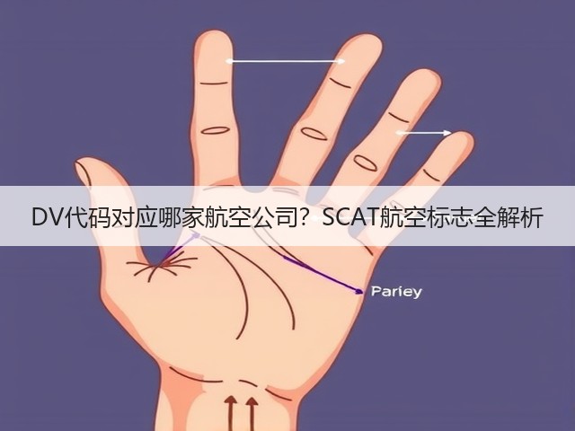 DV代码对应哪家航空公司?SCAT航空标志全解析(图1) DV代码对应哪家航空公司?SCAT航空标志全解析(图1)