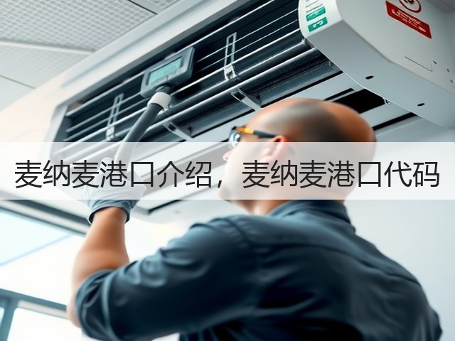 麦纳麦港口介绍，麦纳麦港口代码(图3)