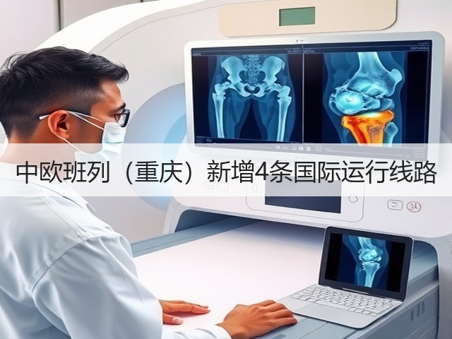中欧班列(重庆)新增4条国际运行线路(图2) 中欧班列(重庆)新增4条国际运行线路(图2)