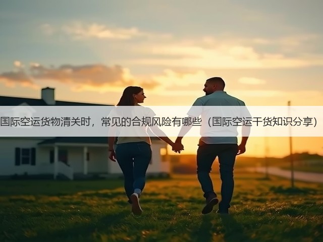 国际空运货物清关时,常见的合规风险有哪些(国际空运干货知识分享)(图2) 国际空运货物清关时,常见的合规风险有哪些(国际空运干货知识分享)(图2)