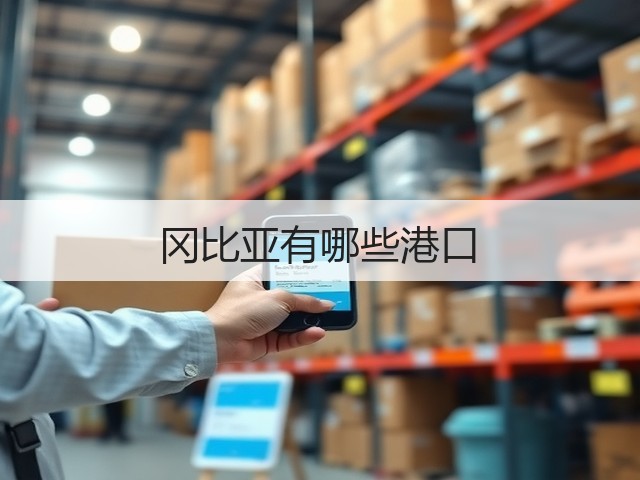 冈比亚有哪些港口(图1)