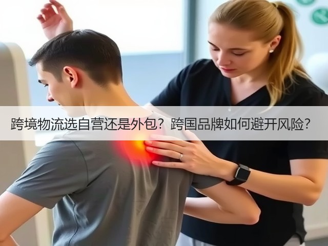跨境物流选自营还是外包？跨国品牌如何避开风险？(图3)