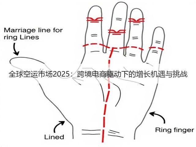 全球空运市场2025:跨境电商驱动下的增长机遇与挑战(图2) 全球空运市场2025:跨境电商驱动下的增长机遇与挑战(图2)
