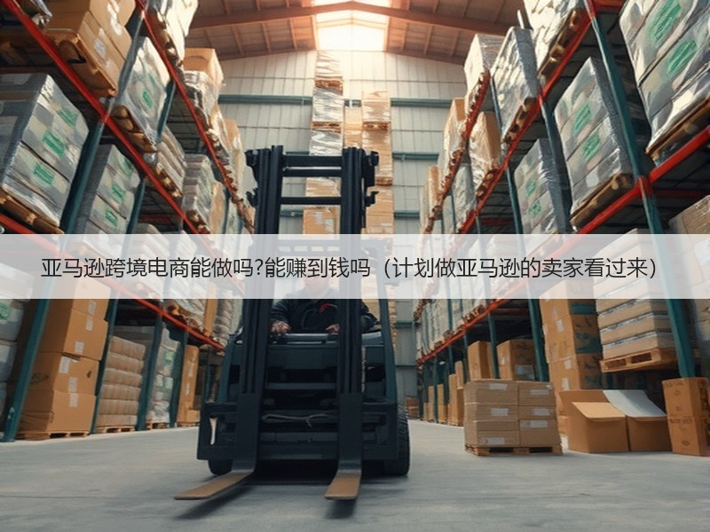 亚马逊跨境电商能做吗?能赚到钱吗(计划做亚马逊的卖家看过来) 亚马逊跨境电商能做吗?能赚到钱吗(计划做亚马逊的卖家看过来)