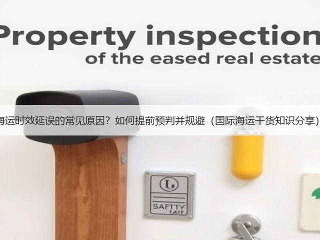 海运时效延误的常见原因？如何提前预判并规避（国际海运干货知识分享）(图3)