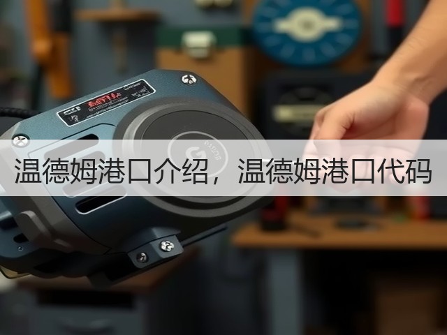 温德姆港口介绍，温德姆港口代码(图1)