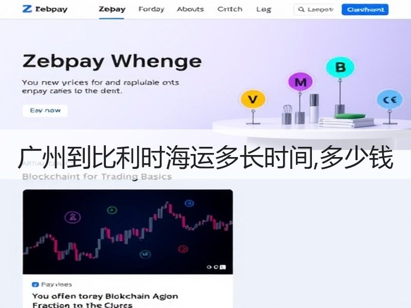 广州到比利时海运多长时间,多少钱