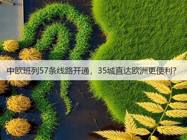 中欧班列57条线路开通,35城直达欧洲更便利?(图1) 中欧班列57条线路开通,35城直达欧洲更便利?(图1)
