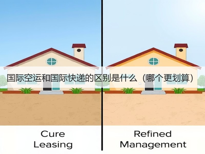 国际空运和国际快递的区别是什么(哪个更划算) 国际空运和国际快递的区别是什么(哪个更划算)