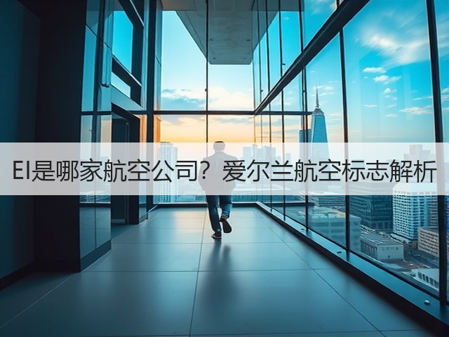EI是哪家航空公司？爱尔兰航空标志解析(图3)