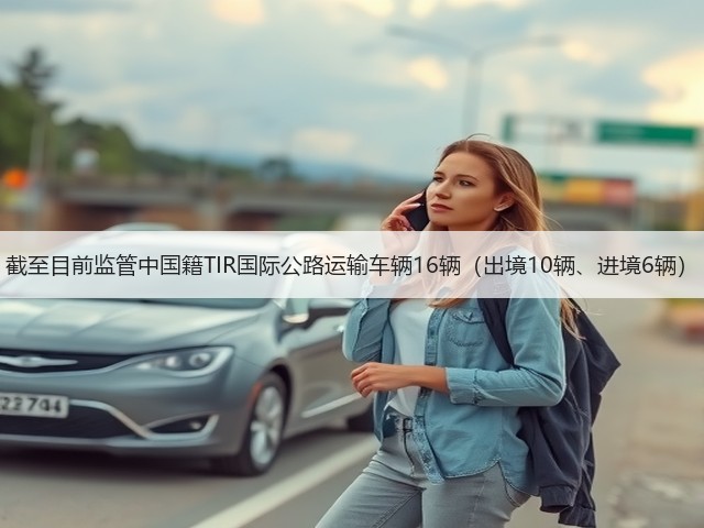 截至目前监管中国籍TIR国际公路运输车辆16辆（出境10辆、进境6辆）(图3)