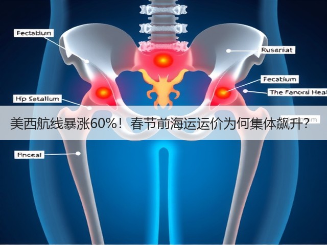 美西航线暴涨60%！春节前海运运价为何集体飙升？(图1)