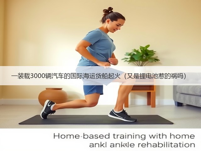 一装载3000辆汽车的国际海运货船起火(又是锂电池惹的祸吗)(图2) 一装载3000辆汽车的国际海运货船起火(又是锂电池惹的祸吗)(图2)