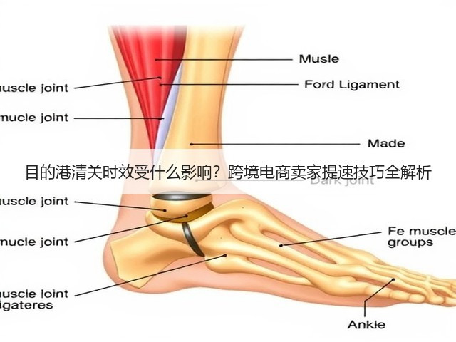 目的港清关时效受什么影响?跨境电商卖家提速技巧全解析(图2) 目的港清关时效受什么影响?跨境电商卖家提速技巧全解析(图2)