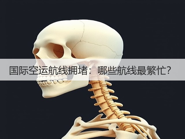 国际空运航线拥堵:哪些航线最繁忙?(图1) 国际空运航线拥堵:哪些航线最繁忙?(图1)