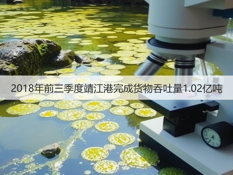 2018年前三季度靖江港完成货物吞吐量1.02亿吨 2018年前三季度靖江港完成货物吞吐量1.02亿吨