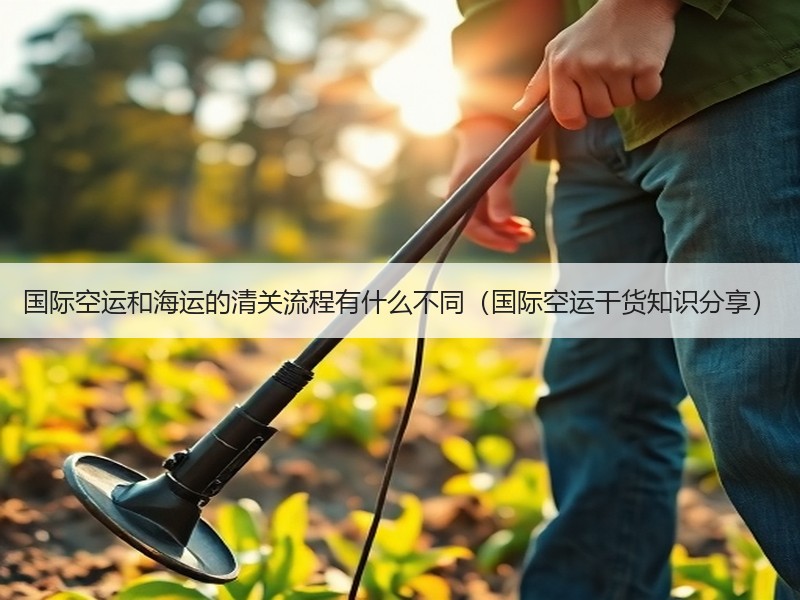 国际空运和海运的清关流程有什么不同（国际空运干货知识分享）