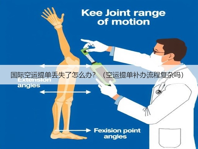 国际空运提单丢失了怎么办?(空运提单补办流程复杂吗)(图3) 国际空运提单丢失了怎么办?(空运提单补办流程复杂吗)(图3)