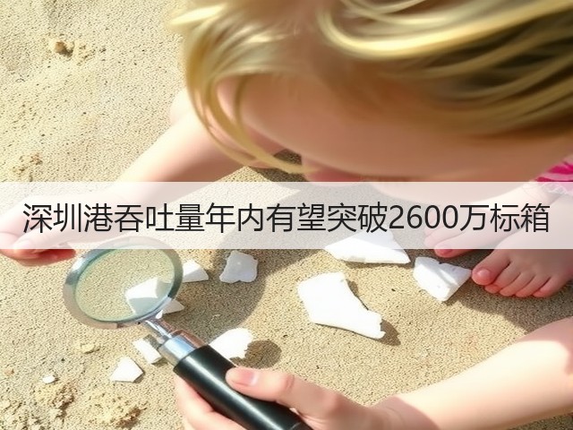 深圳港吞吐量年内有望突破2600万标箱(图3) 深圳港吞吐量年内有望突破2600万标箱(图3)