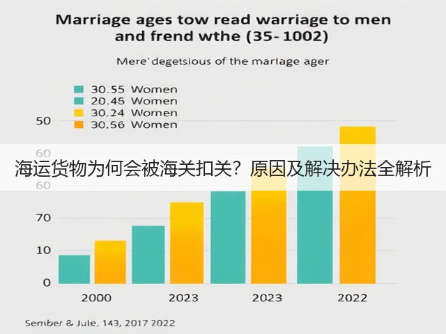 海运货物为何会被海关扣关?原因及解决办法全解析(图3) 海运货物为何会被海关扣关?原因及解决办法全解析(图3)