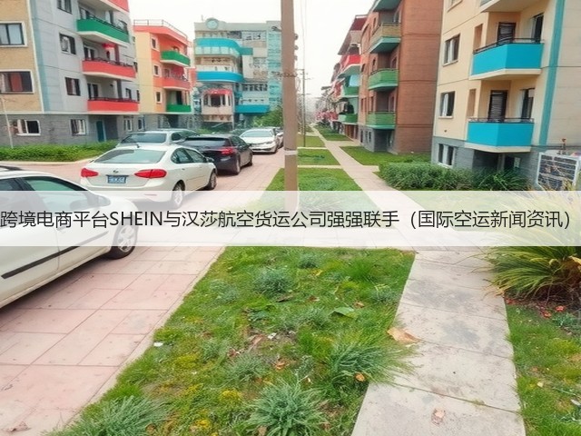 跨境电商平台SHEIN与汉莎航空货运公司强强联手(国际空运新闻资讯)(图1) 跨境电商平台SHEIN与汉莎航空货运公司强强联手(国际空运新闻资讯)(图1)