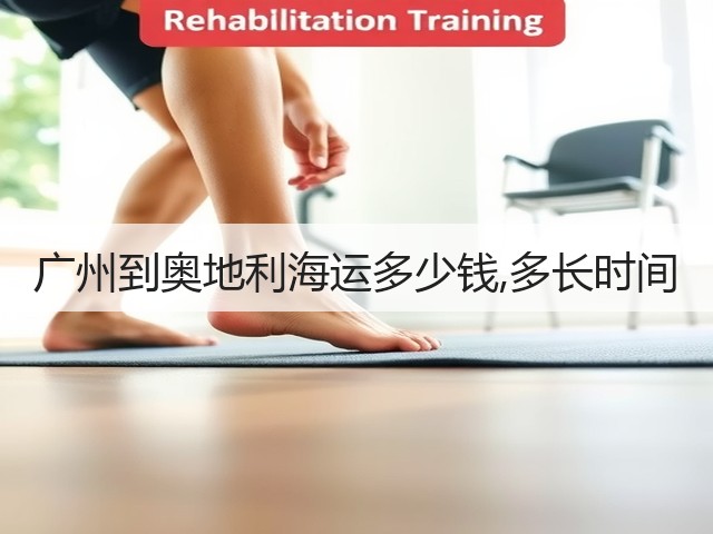 广州到奥地利海运多少钱,多长时间(图2) 广州到奥地利海运多少钱,多长时间(图2)