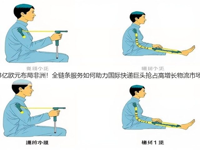 3亿欧元布局非洲！全链条服务如何助力国际快递巨头抢占高增长物流市场(图1)